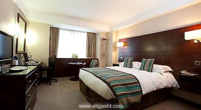 دانوبیوس هتل ریجنتس پارک