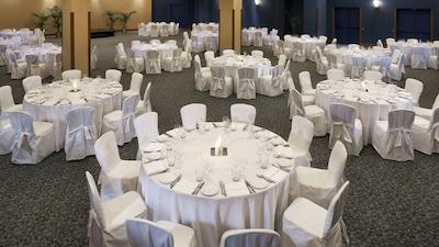 ملیا اورلیا آنتیکا