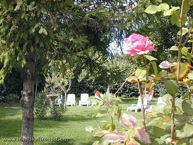 پارک دی ماسیمی