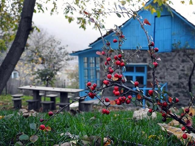 Toon Armeni