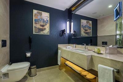 دوبل تری بای هیلتون استانبول توپکاپی