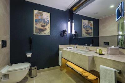 دوبل تری بای هیلتون استانبول توپکاپی