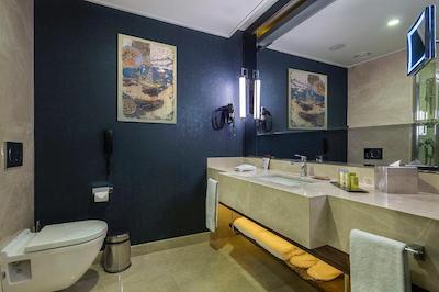 دوبل تری بای هیلتون استانبول توپکاپی