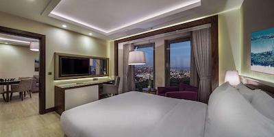 دوبل تری بای هیلتون استانبول توپکاپی