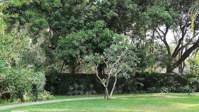 Andores Resort And Spa