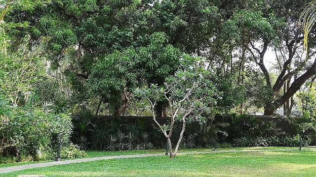Andores Resort And Spa