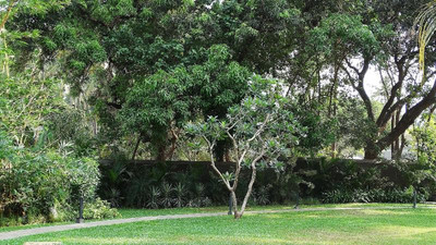 Andores Resort And Spa