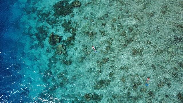 Beach Veli
