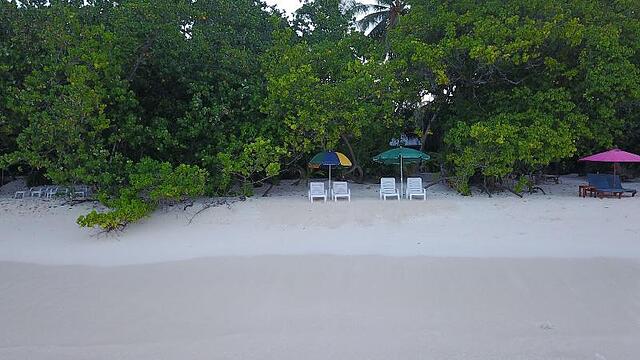 Beach Veli