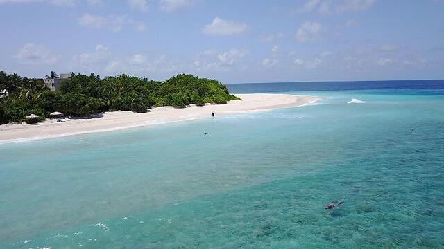Beach Veli