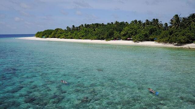 Beach Veli