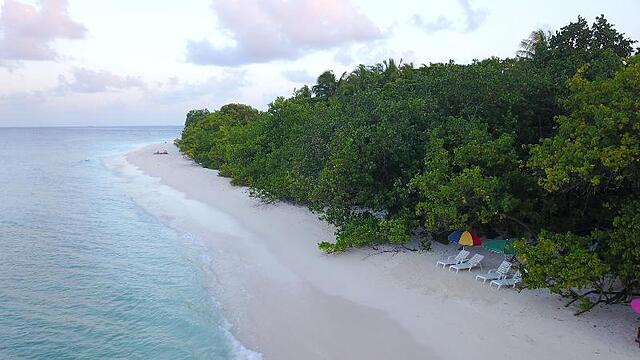 Beach Veli