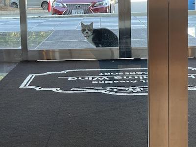 Hotel Areaone Hiroshima Wing