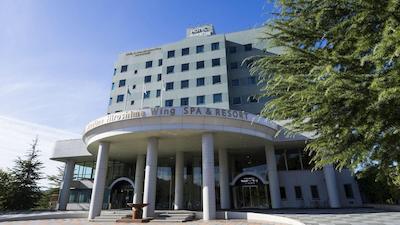 Hotel Areaone Hiroshima Wing