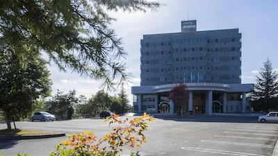 Hotel Areaone Hiroshima Wing