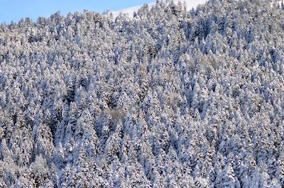 Bof Hotels Uludag Ski & Convention Resort