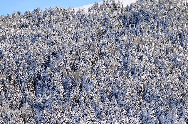 Bof Hotels Uludag Ski & Convention Resort