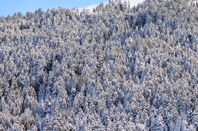 Bof Hotels Uludag Ski & Convention Resort
