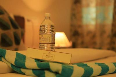 T M Hotel