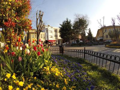 Arat Apartments Suites