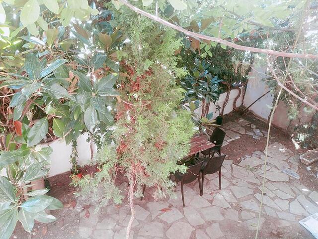Ezgi Apartments
