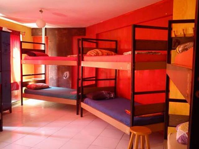 Neverland Hostel