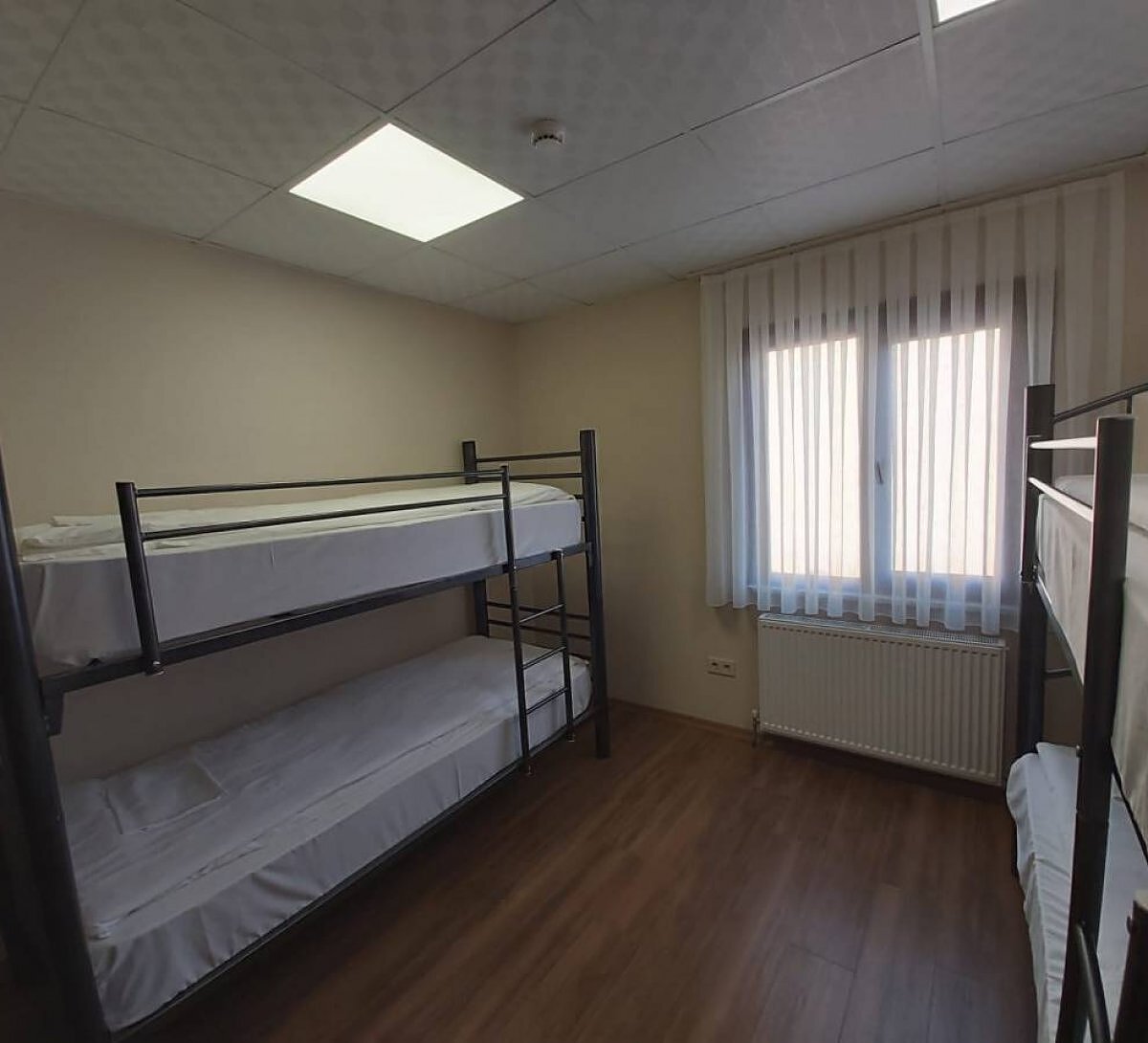 Camellia Hostel