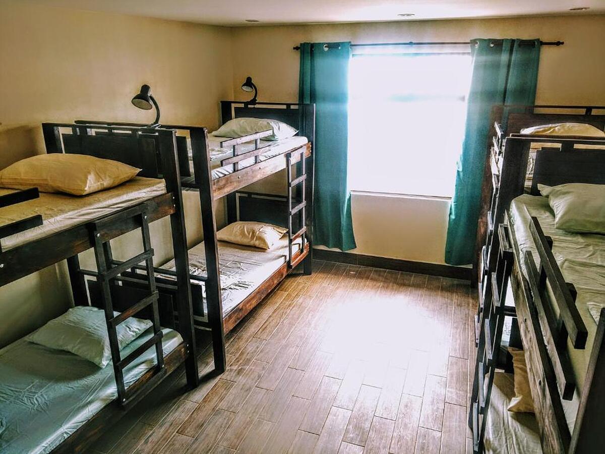 Stray Cat Hostel