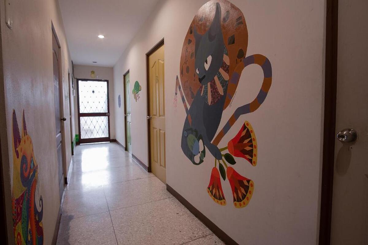 Stray Cat Hostel