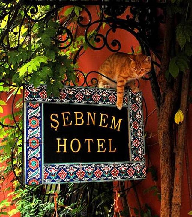 Sebnem Hotel