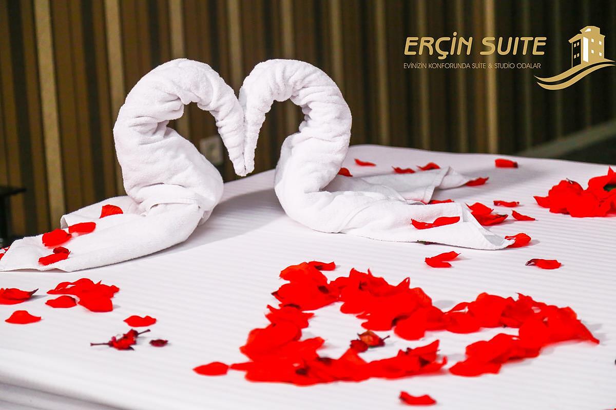 Ercin Suite