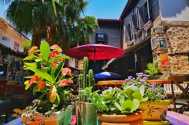 Old House Hostel and Pub