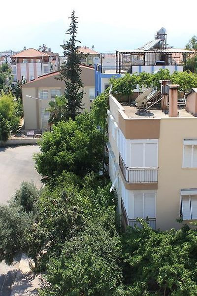 Mimoza Pansiyon