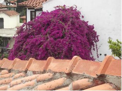 Antalya Hostel Abad Hotel