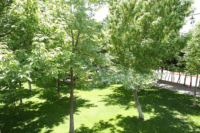 Kisikpet Hotel