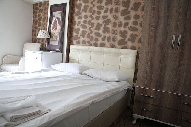 Rooster Hostel