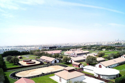 Safeer Towers