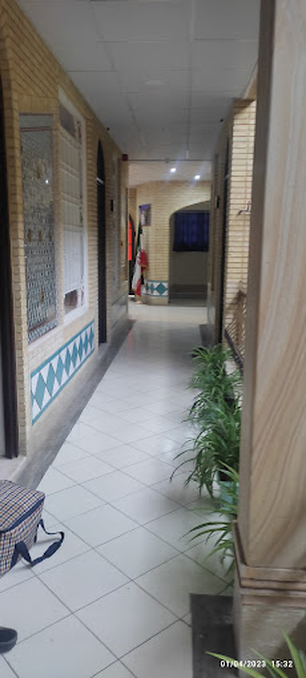 گل افرا