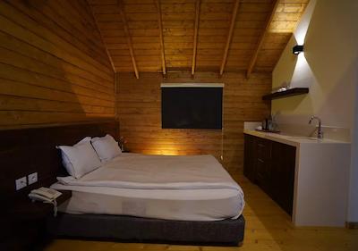 میزبان (ساحلی)