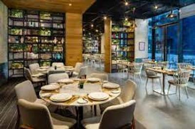 میلنیوم پلیس میردیف