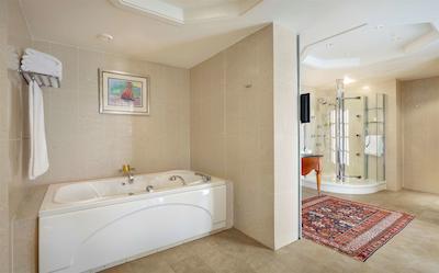 حیات ریجنسی باکو