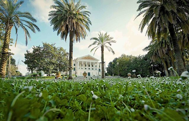 مرکور رما کورسو تریست