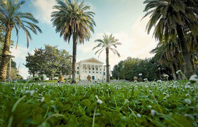 مرکور رما کورسو تریست