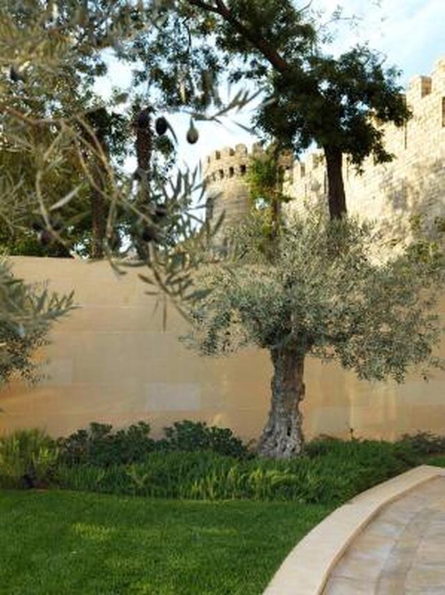 فور سیزن هتل باکو