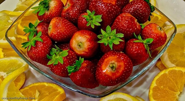 بست وسترن پالازو اوگنیسانتی