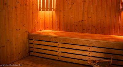 پالادیوم پالاس