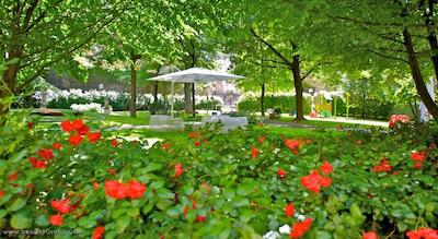 مرکور بولونیا سنترو