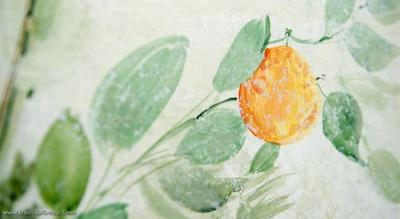 دگلی ارانچی