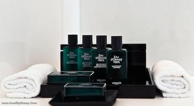 سوفیتل رما ویلا بورگسه