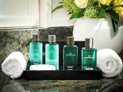 سوفیتل رما ویلا بورگسه